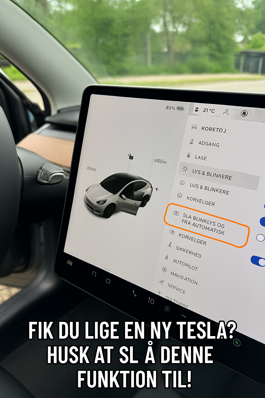 Fik du lige en ny Tesla? Husk at slå denne funktion til!