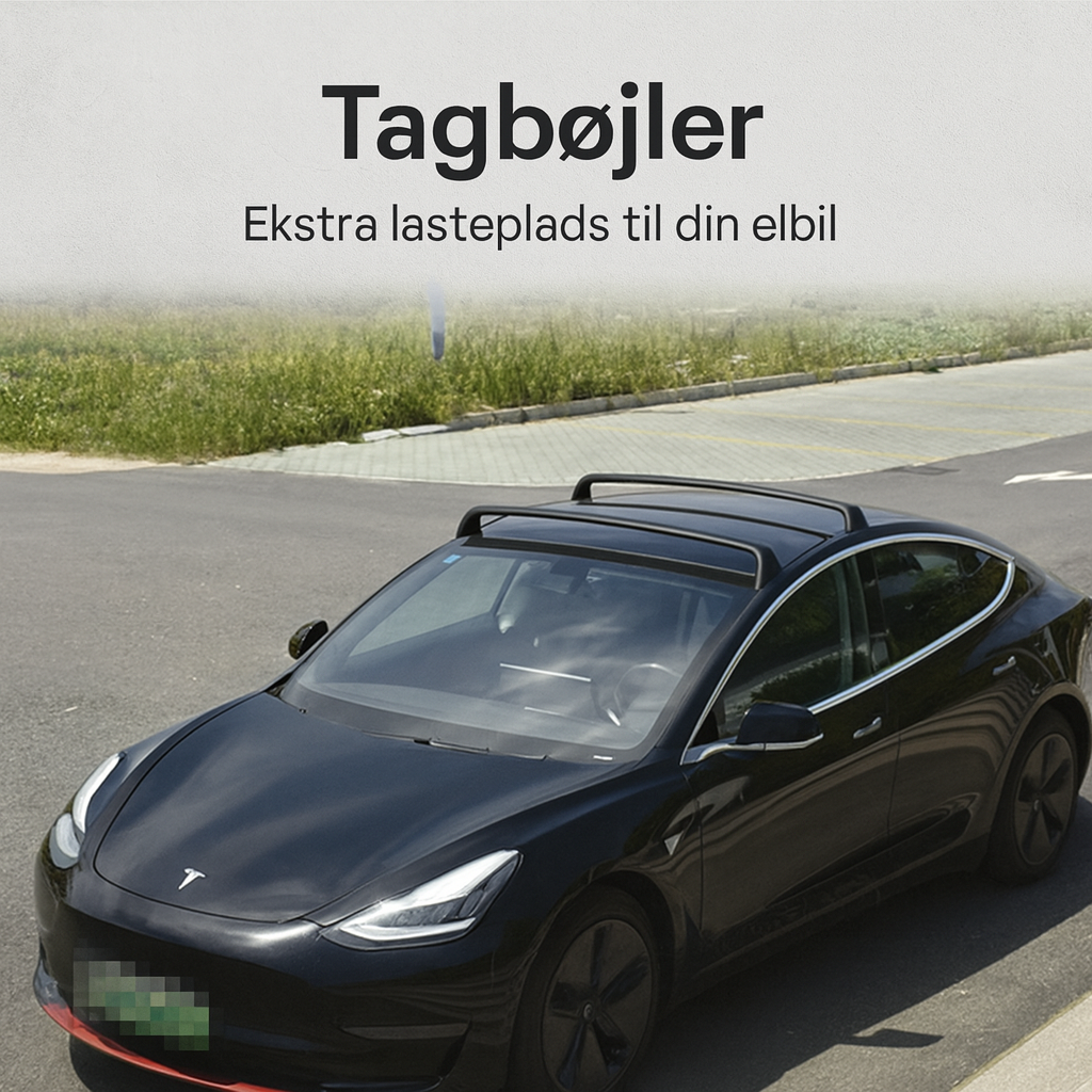 Tagbøjler